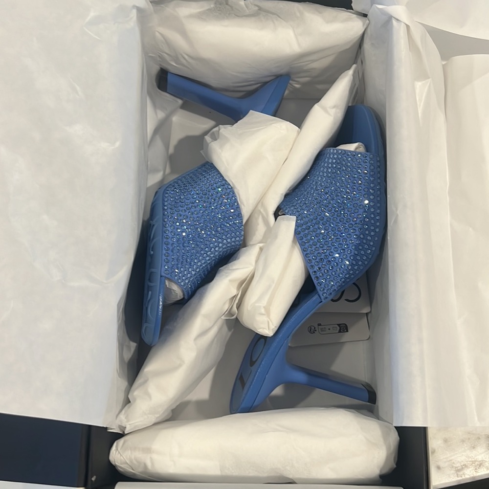 Brand new never worn Loewe Petal 90MM Crystal-Embellished Leather Mules